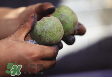 青皮核桃哪里有賣？哪里可以買到青皮核桃