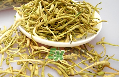 金銀花茶是去火的嗎？金銀花茶有什么功效與作用