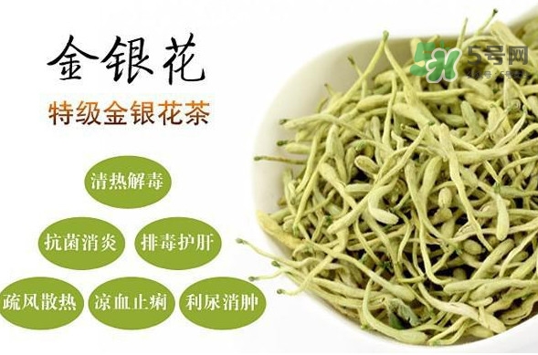 金銀花茶是去火的嗎？金銀花茶有什么功效與作用