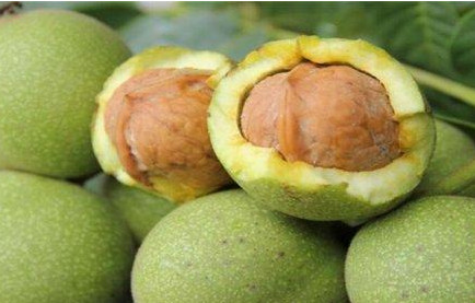 青皮核桃貴還是買去皮的貴？青皮核桃種植方法