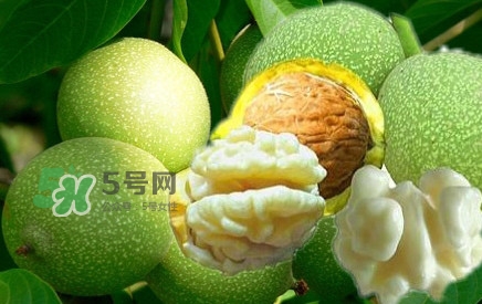 青皮核桃?guī)捉锍鲆唤锔珊颂?？青皮核桃什么時候成熟