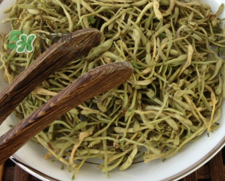 金銀花茶苦嗎？喝金銀花茶需要注意什么