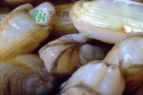 蟶子怎么抓？孕婦能吃蟶子嗎