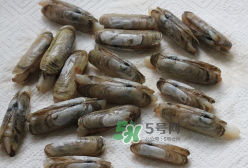 蟶子多少錢(qián)一斤？蟶子為什么撒鹽就出來(lái)