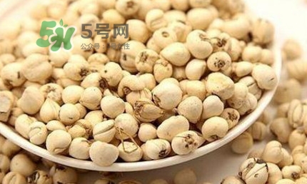 川貝母可以直接吃嗎？川貝母可以泡水喝嗎