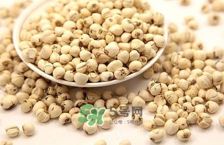 川貝母是苦的嗎？川貝母是涼性的嗎