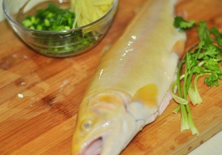 金鱒魚清蒸為什么變黑？食用金鱒魚有什么好處