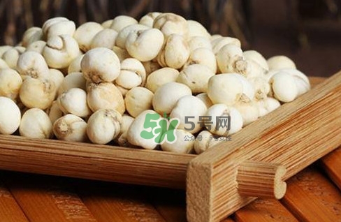 川貝母可以直接吃嗎？川貝母可以泡水喝嗎