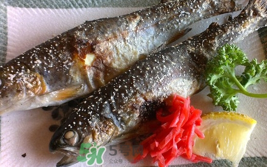 鱒魚是三文魚嗎？鱒魚是什么魚