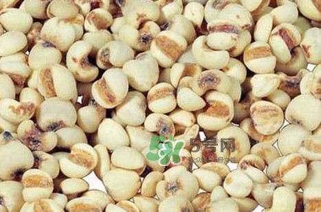 川貝母可以直接吃嗎？川貝母可以泡水喝嗎