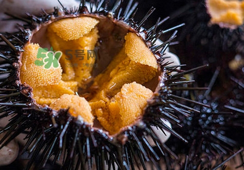 海膽可以冷凍儲存嗎？什么人不能吃海膽