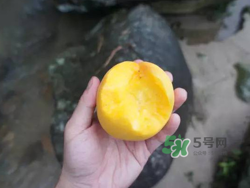 炎陵黃桃什么時(shí)候成熟？炎陵黃桃好吃嗎？