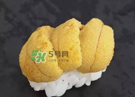 海膽怎么處理？海膽可以生吃嗎？