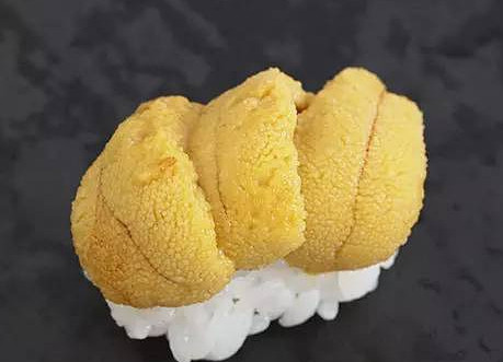 活海膽怎么殺？海膽怎么開殼？