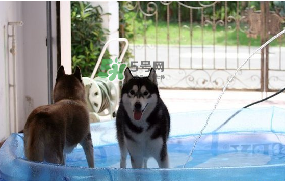 2017年8月份熱嗎？2017年陰歷八月份熱嗎？