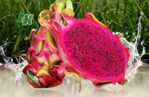 紅心火龍果可以減肥嗎？紅心火龍果能減肥嗎？