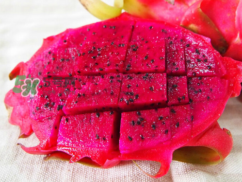 紅心火龍果可以減肥嗎？紅心火龍果能減肥嗎？