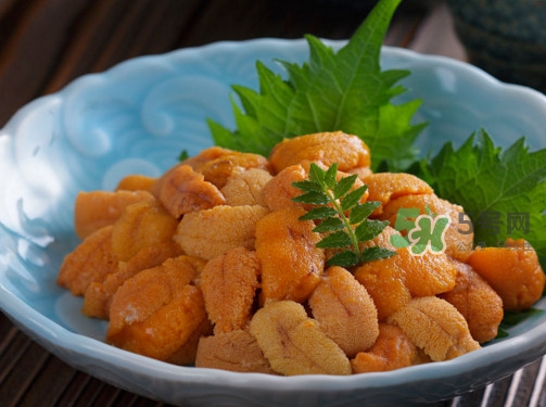 海膽怎么做好吃？買海膽怎么挑