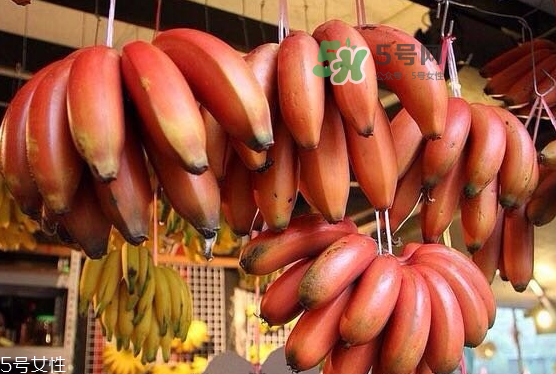 紅皮香蕉是轉(zhuǎn)基因的嗎？紅皮香蕉和一般香蕉的區(qū)別