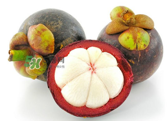 山竹硬的好還是軟的好？山竹硬了就壞了嗎？