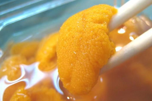 海膽什么季節(jié)最肥？海膽什么時(shí)候最肥