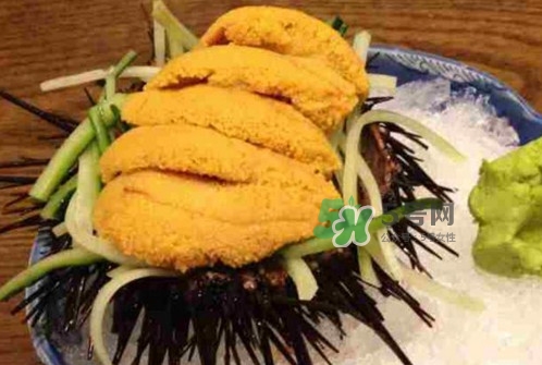 海膽黃一次吃多少克合適？海膽里面黑色的能吃嗎