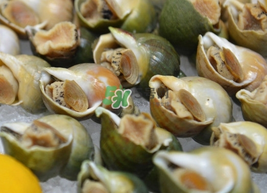 海螺怎么做好吃？海螺怎么清洗干凈