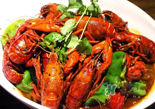 金蟬和蝦能一起吃嗎？孕婦吃完蝦能吃金蟬嗎？