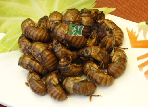 金蟬和蝦能一起吃嗎？孕婦吃完蝦能吃金蟬嗎？