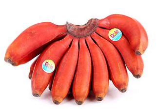 紅香蕉是哪里的特產(chǎn)？紅香蕉什么時(shí)候成熟？