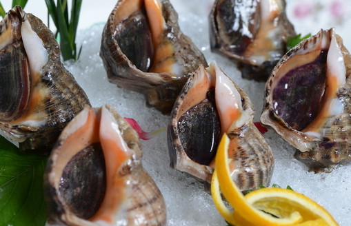 海螺有寄生蟲(chóng)嗎？海螺可以生吃嗎