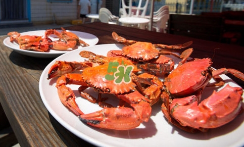 赤甲紅海蟹多少錢一斤？2017赤甲紅海蟹價格