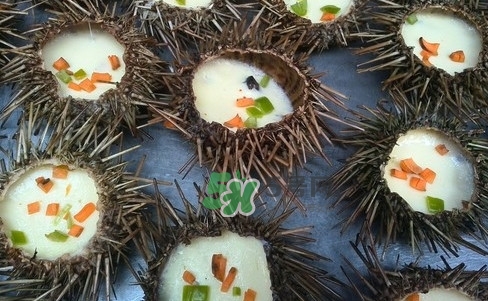 海膽死了還能吃嗎？海膽不能跟什么一起吃