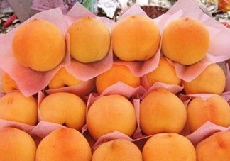 錦繡黃桃什么時(shí)候成熟？錦繡黃桃?guī)自鲁墒欤?><p><strong>錦繡黃桃什么時(shí)候成熟？錦繡黃桃?guī)自鲁墒欤?/strong></p></a></li> <li><a href=