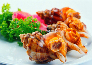 為什么海螺殼里面會(huì)有聲音？海螺和韭菜能不能一起吃