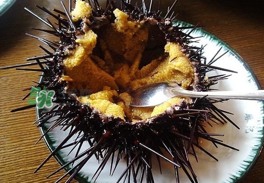 海膽有毒嗎？海膽有寄生蟲(chóng)嗎