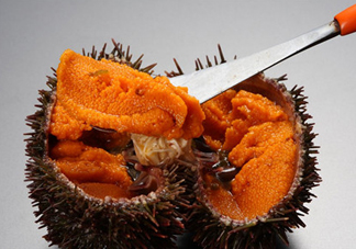 冷凍海膽黃化了能吃嗎？海膽吃多了會(huì)怎樣
