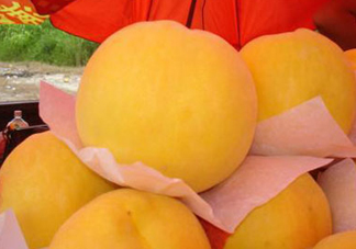 錦繡黃桃多少錢一斤？錦繡黃桃好吃嗎？