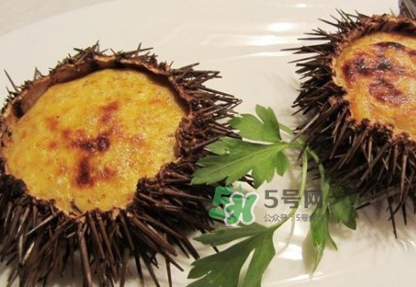 活海膽怎么保存？新鮮海膽如何保鮮