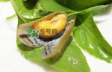 薄殼怎么讀？薄殼怎么洗干凈