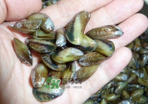 薄殼米是什么？薄殼怎么炒好吃？