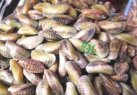 海瓜子煮多久能熟？海瓜子為什么放在水里殼不張開