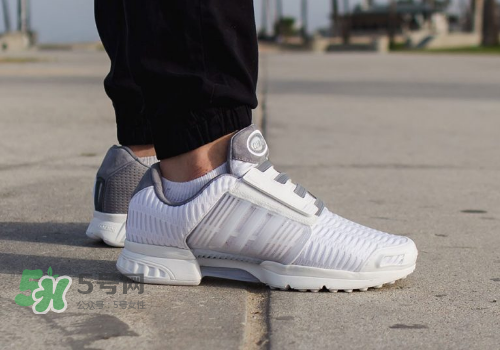 adidas climacool los angeles洛杉磯別注款怎么買_在哪買？