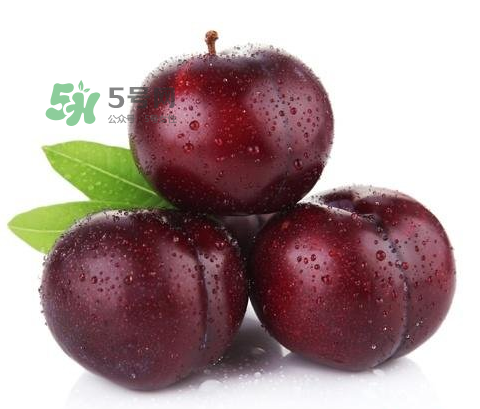 黑布林可以泡酒嗎？黑布林怎么吃？