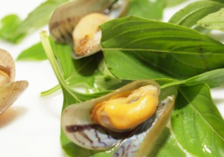 薄殼怎么讀？薄殼怎么洗干凈