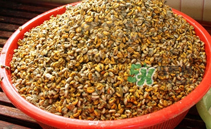 薄殼有寄生蟲嗎？薄殼米怎樣保鮮