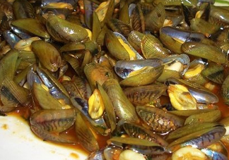 薄殼什么季節(jié)有？薄殼孕婦可以吃嗎？