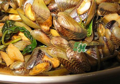 薄殼怎么讀？薄殼怎么洗干凈