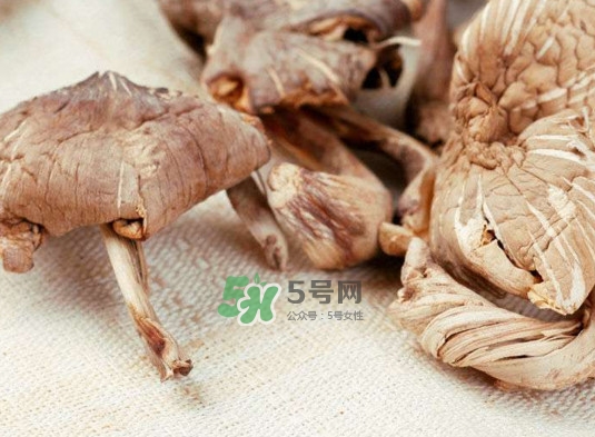 雞樅菌怎么讀？雞樅菌怎么做好吃？