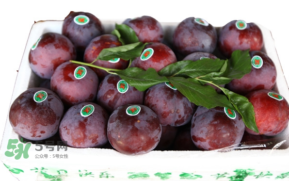 黑布林什么季節(jié)成熟？黑布林什么時(shí)候上市？